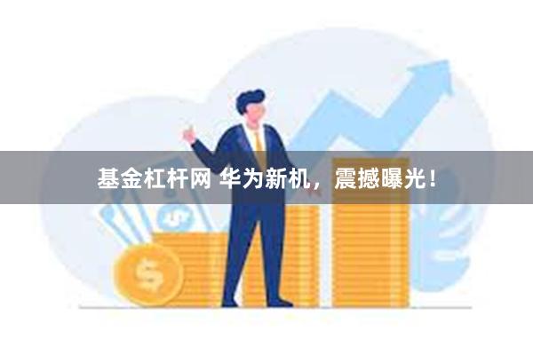 基金杠杆网 华为新机，震撼曝光！