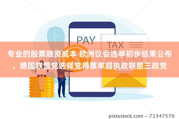 专业的股票融资成本 欧洲议会选举初步结果公布，德国联盟党选择党得票率超执政联盟三政党