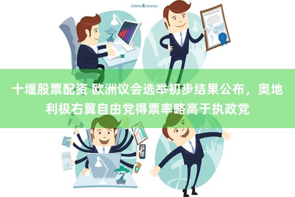 十堰股票配资 欧洲议会选举初步结果公布，奥地利极右翼自由党得票率略高于执政党