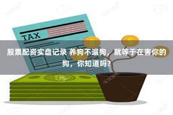 股票配资实盘记录 养狗不遛狗，就等于在害你的狗，你知道吗？