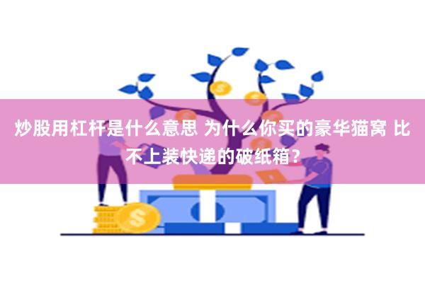 炒股用杠杆是什么意思 为什么你买的豪华猫窝 比不上装快递的破纸箱？