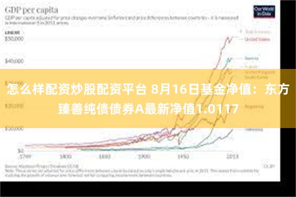 怎么样配资炒股配资平台 8月16日基金净值：东方臻善纯债债券A最新净值1.0117