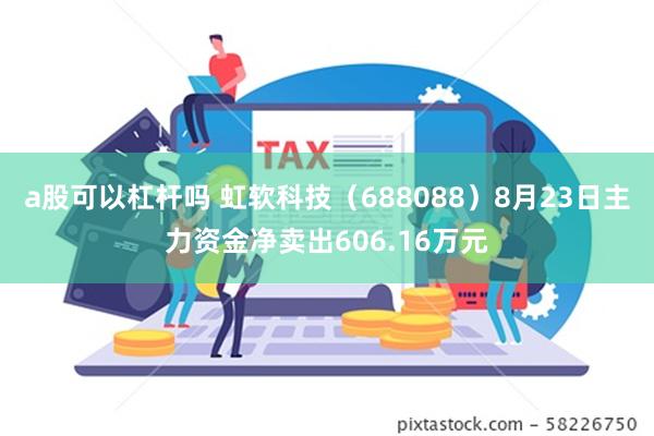 a股可以杠杆吗 虹软科技（688088）8月23日主力资金净卖出606.16万元