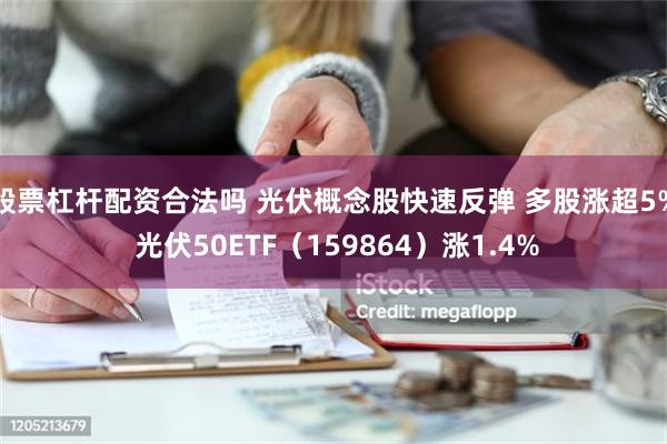 股票杠杆配资合法吗 光伏概念股快速反弹 多股涨超5% 光伏50ETF（159864）涨1.4%