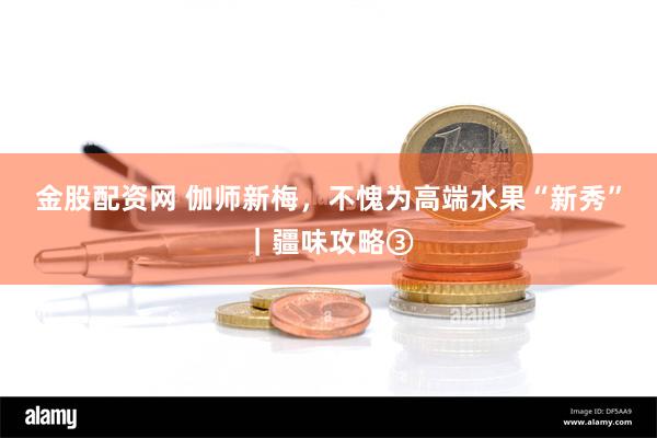 金股配资网 伽师新梅，不愧为高端水果“新秀”｜疆味攻略③