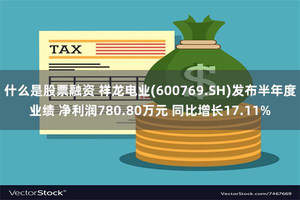 什么是股票融资 祥龙电业(600769.SH)发布半年度业绩 净利润780.80万元 同比增长17.11%