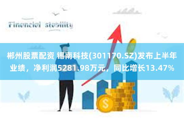 郴州股票配资 锡南科技(301170.SZ)发布上半年业绩，净利润5281.98万元，同比增长13.47%