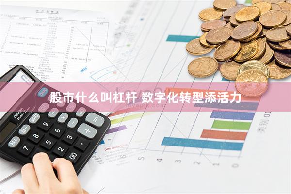 股市什么叫杠杆 数字化转型添活力