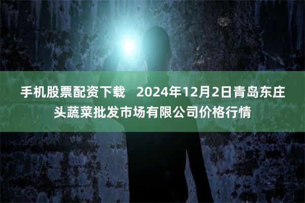 手机股票配资下载   2024年12月2日青岛东庄头蔬菜批发市场有限公司价格行情