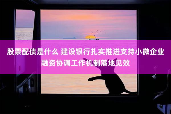 股票配债是什么 建设银行扎实推进支持小微企业融资协调工作机制落地见效