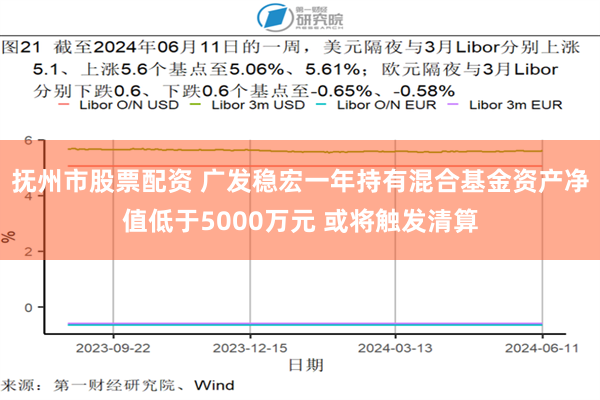 抚州市股票配资 广发稳宏一年持有混合基金资产净值低于5000万元 或将触发清算