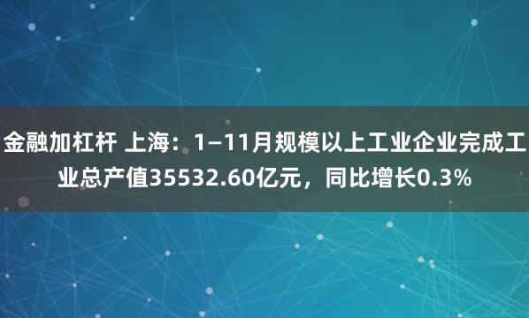 金融加杠杆 上海：1—11月规模以上工业企业完成工业总产值35532.60亿元，同比增长0.3%