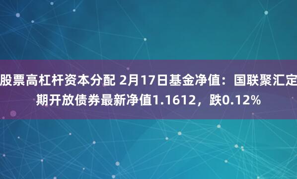 股票高杠杆资本分配 2月17日基金净值：国联聚汇定期开放债券最新净值1.1612，跌0.12%