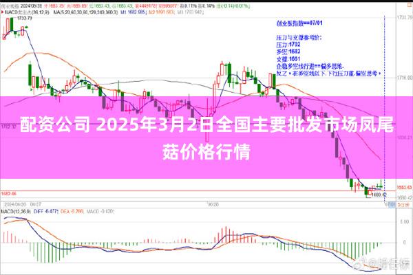 配资公司 2025年3月2日全国主要批发市场凤尾菇价格行情