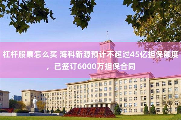 杠杆股票怎么买 海科新源预计不超过45亿担保额度，已签订6000万担保合同